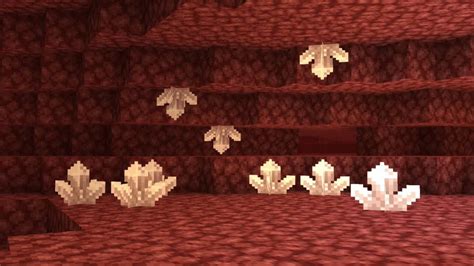 nether finder|More.